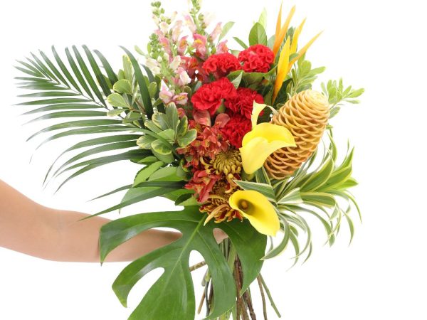 Como cuidar de flores tropicais? 