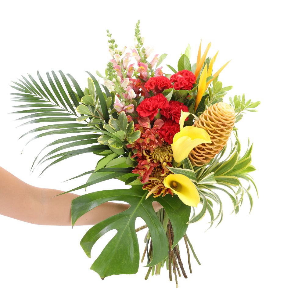 Como cuidar de flores tropicais? 